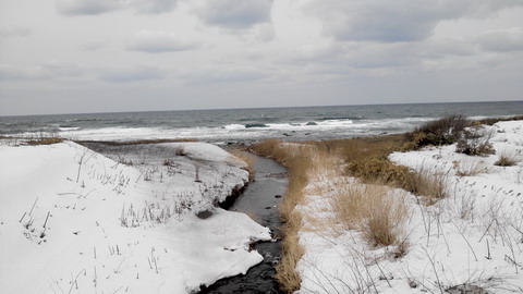 c0202727_210566.jpg