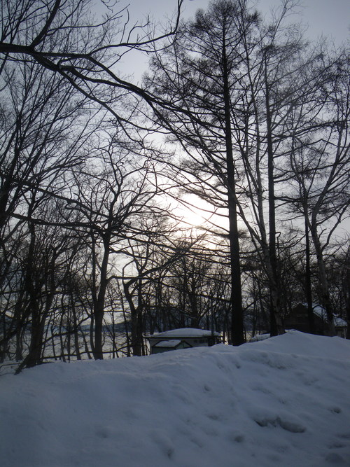 c0202727_2192775.jpg