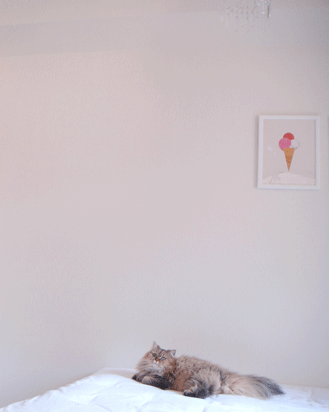 e0157129_18493354.gif