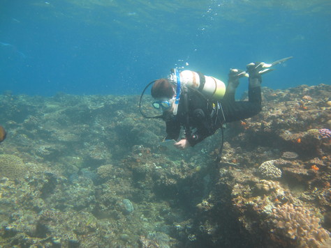 ３月２７日ようやく海も天気もそして僕も回復です！！_c0070933_1903080.jpg