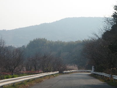 a0054240_211121.jpg