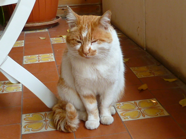 d0170140_1352483.jpg