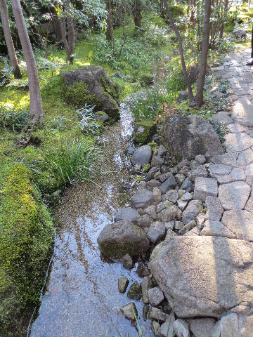e0163440_1959692.png