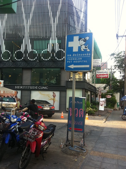 Thonglor Pet Hosipital_d0222641_2214796.jpg