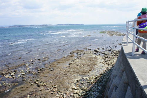 a0074543_20533253.jpg