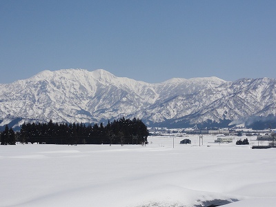 今日はいい天気になりました_a0084753_13153453.jpg