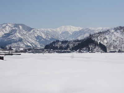 今日はいい天気になりました_a0084753_13154428.jpg