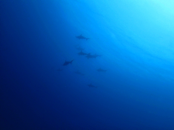 d0113459_21533377.jpg
