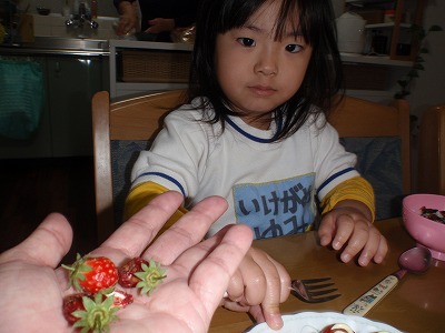 c0180460_01518.jpg