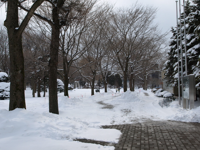 市民文化公園 3月_d0153062_8574937.jpg