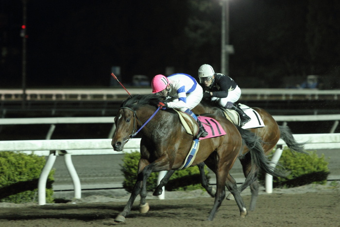 2012年3月26日（月） 高知競馬 10R 花海道菜の花特別 B-4_a0077663_9155578.jpg