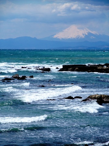 VTR1000Fでショートツーリング ～ 三浦海岸の河津桜ほか_e0045768_22151893.jpg