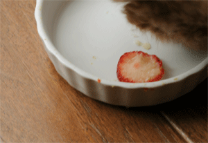 c0196673_14194919.gif