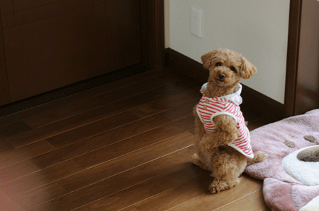 c0196673_14204554.gif