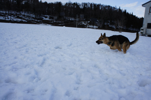 b0233977_20592140.gif