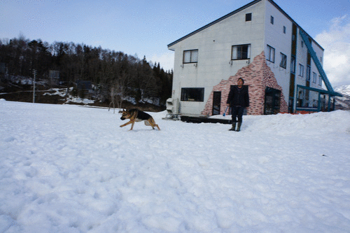 b0233977_2121257.gif