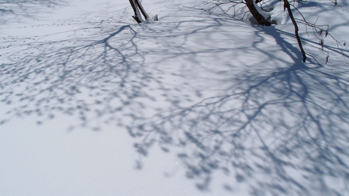 e0024081_19504145.jpg