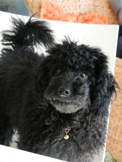 2012年3月27日 ごちそうさまでした~_b0098584_2125499.jpg