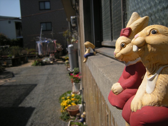 f0063887_22465089.jpg
