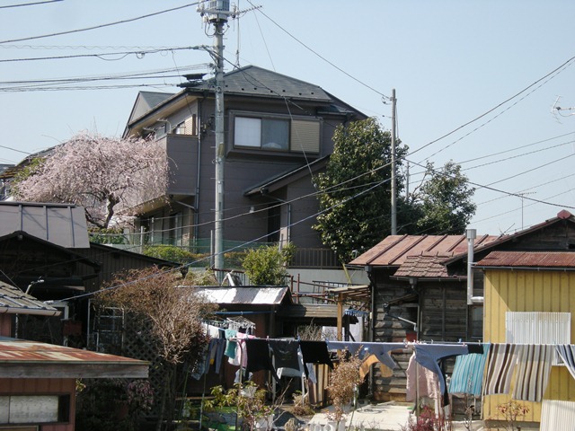 f0063887_22491628.jpg