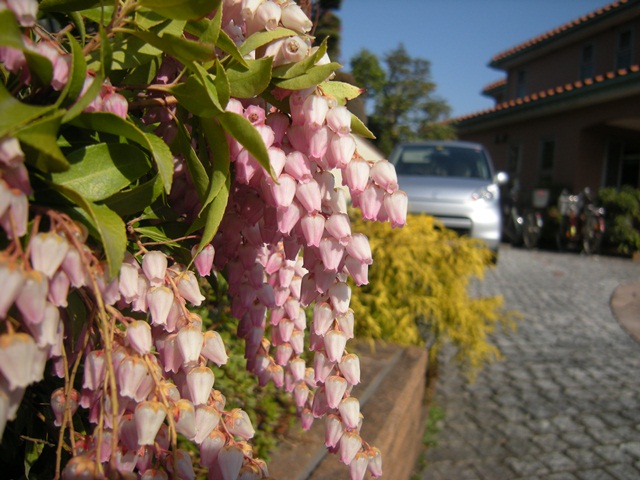 f0063887_2253440.jpg