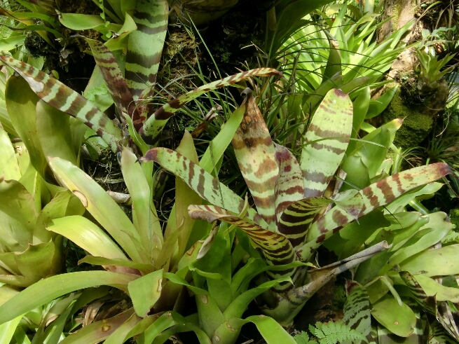b0246691_12335668.jpg