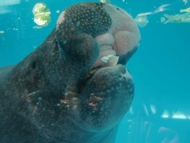 b0246691_12374314.jpg