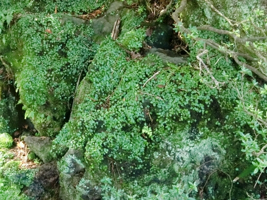 b0246691_1243476.jpg