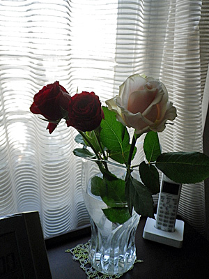 c0211194_77368.jpg