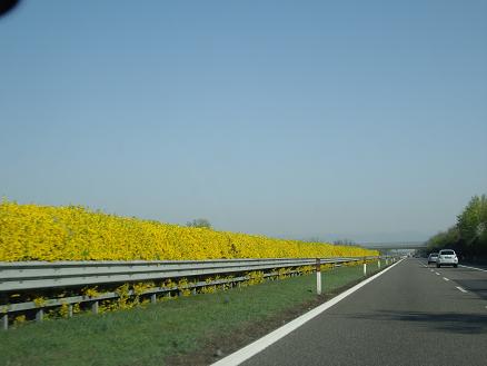 e0056094_22124591.jpg