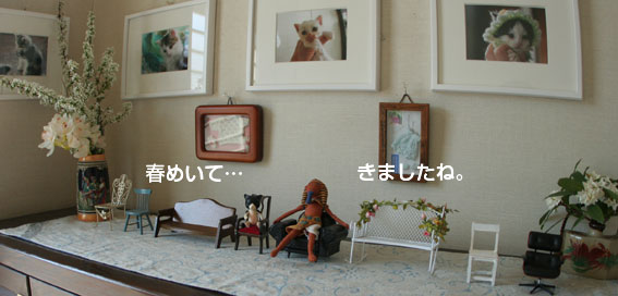 d0071596_2113957.jpg