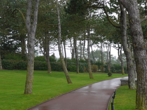 c0090198_3313283.jpg