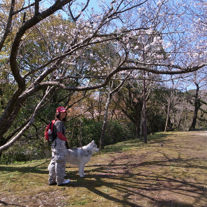 c0049299_1823497.jpg