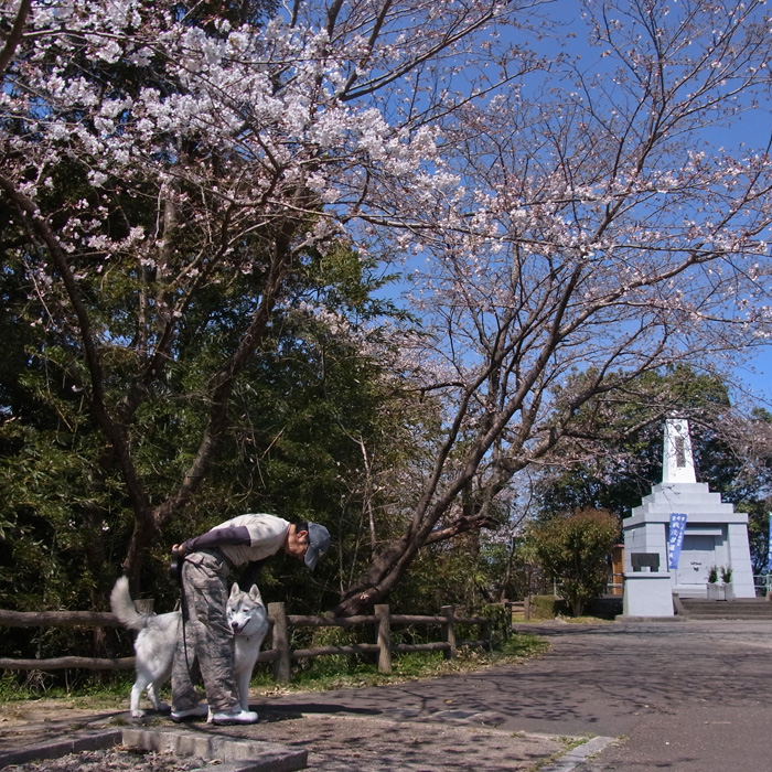 c0049299_18265861.jpg