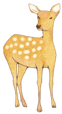 d0138900_13401998.png