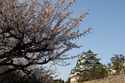 a0123003_1033715.jpg