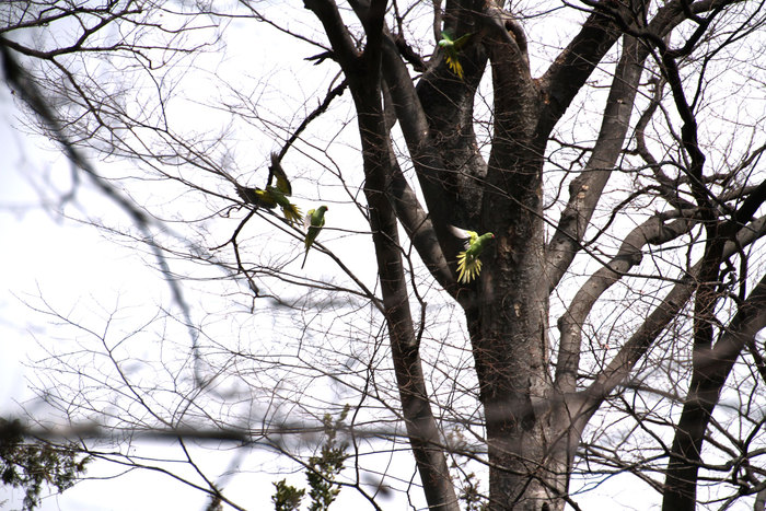 a0207304_1736509.jpg