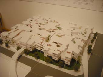 e0008704_852562.jpg