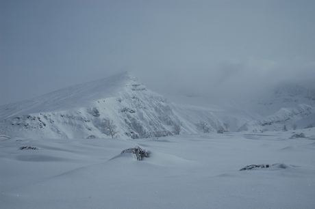 1月29日　粉雪舞う三段山はやはり最高だ_c0242406_1033110.jpg