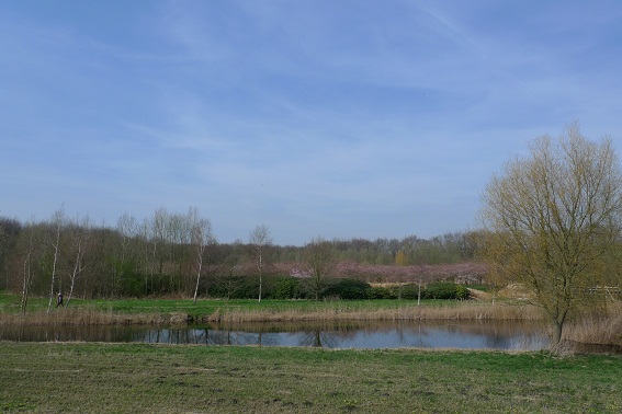 a0187808_843522.jpg