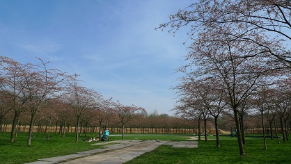 a0187808_8595659.jpg