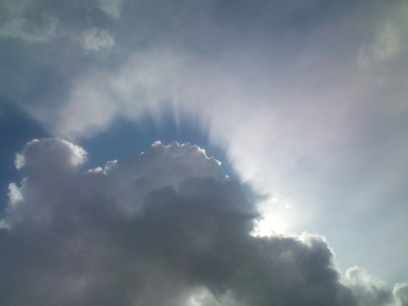 a0152009_242617.jpg