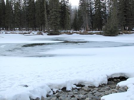 b0051109_95706.jpg