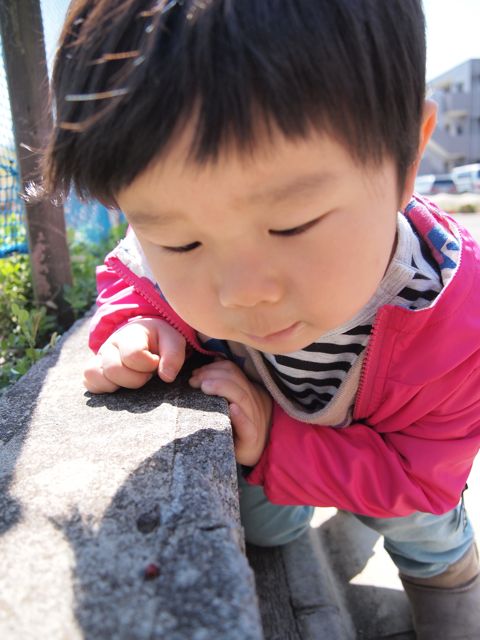 a0151615_2354132.jpg