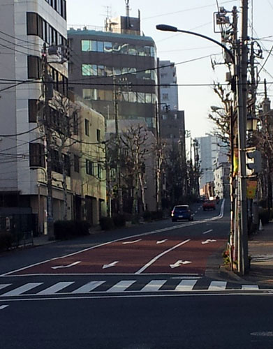 e0089826_7393083.jpg