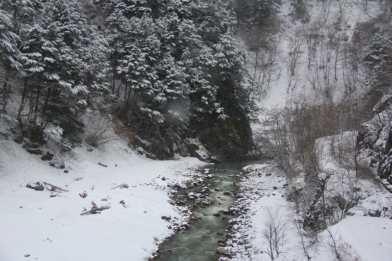 高山・白川郷・金沢（その１）_f0229832_11153124.jpg