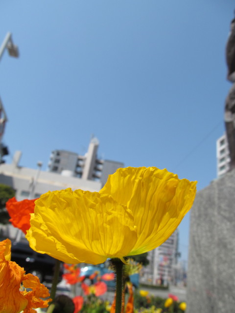 d0140234_20322479.jpg