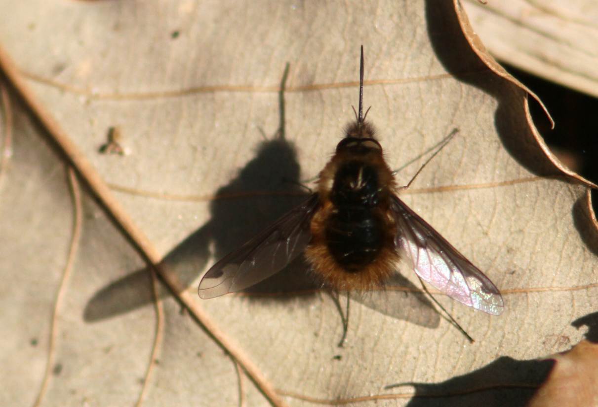 c0172139_93410.jpg