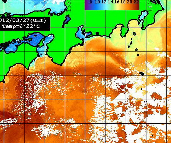志摩沖の潮が東に移動して遠州灘沖に・・・【カジキ・マグロトローリング】_f0009039_9433762.jpg