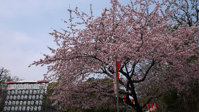 上野アメ横～上野公園_e0227942_21594155.jpg